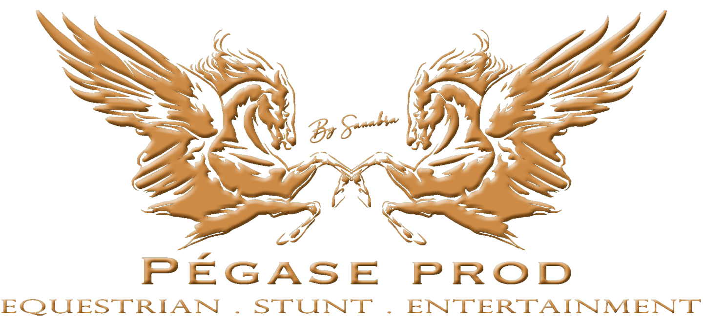 Pégaseprod Logo