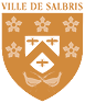 PP_ville de salbris_ht94